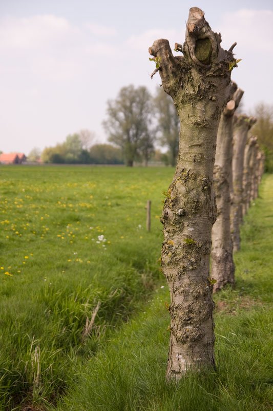 achterhoek4.jpg