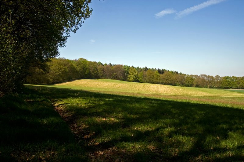 achterhoek8.jpg