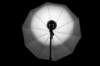 calumetparapluwitmetnikonsb28met7reflector14vermogen_small.jpg
