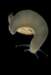 macro20_small.jpg